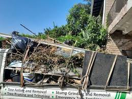 Best Property Management Cleanouts  in Cairo, NE