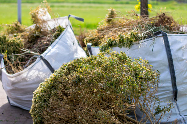 Best Appliance Removal  in Cairo, NE